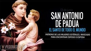 San Antonio de Padua, sacerdote franciscano. Doctor de la Iglesia San Antonio de Padua. El Santo de todo el mundo. Biografía y vida