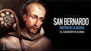 San Bernardo de Claraval. Abad. Doctor de la Iglesia. Biografía