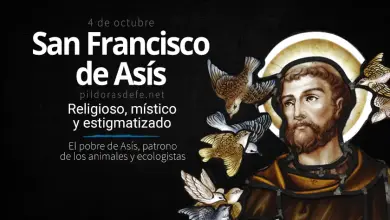 Francisco de Asís. Religioso, místico, predicador y fundador