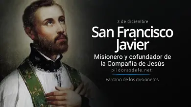 San Francisco Javier. Sacerdote Misionero. Biografía, vida y Obra