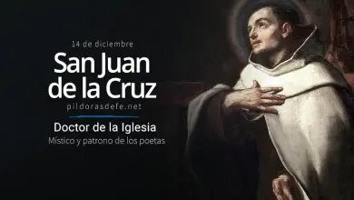 San Juan de la Cruz. Biografía y obras. Patrono de los poetas
