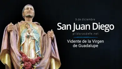 San Juan Diego. Santo indígena. Vidente de la Virgen de Guadalupe