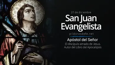 San Juan Evangelista: Ap&oacute;stol: Disc&iacute;pulo amado del Se&ntilde;or