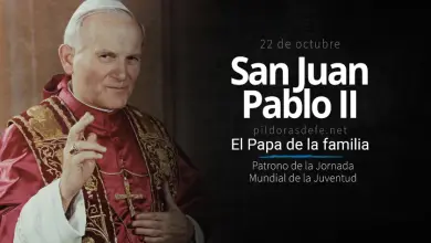 San Juan Pablo II, Biografía, Vida, Obra y Santidad: El Papa peregrino San Juan Pablo II, El Papa de la Familia: Patrono de las JMJ