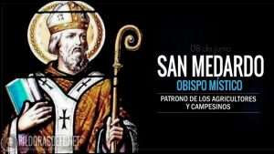 San Medardo. Obispo místico y mártir. Patrono de los agricultores