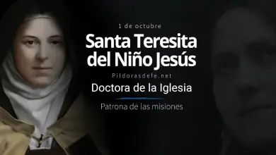 Teresa de Lisieux - Santa Teresa del Niño Jesús. Doctora de la Iglesia