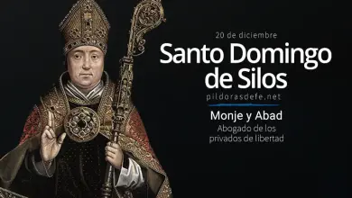Santo Domingo de Silos, Monje y Abad que liberó a más de 300 cristianos prisioneros de musulmanes