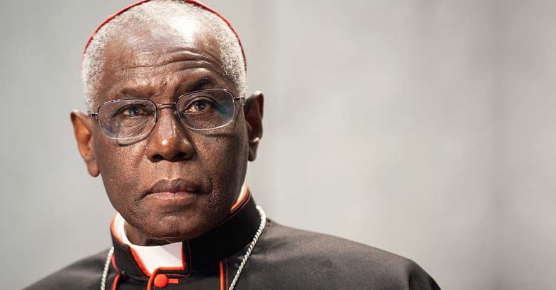 cardenal sarah vaticano mirando de frente fondo gris