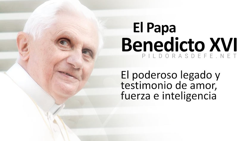 papa benedicto xvi poderoso legado amor fuerza inteligencia testimonio