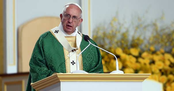 papa francisco fondo flores amarillas homilia persona fe