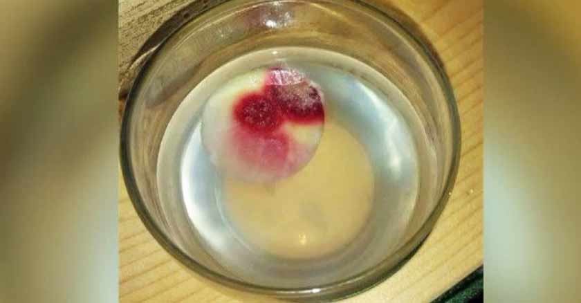 posible milagro eucaristico salt lake city estados unidos hostia sangrante
