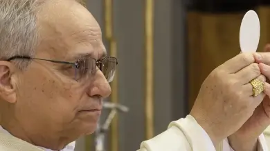 Pope Leo XIV Eucharist antidote against division