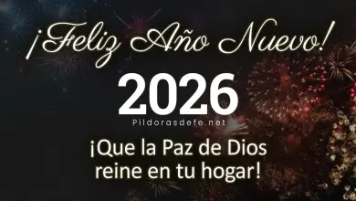 feliz ano nuevo  adios ano viejo