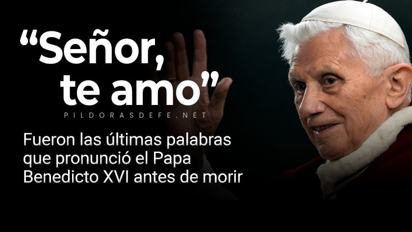 ultimas palabras que dijo papa benedicto xvi senor te amo