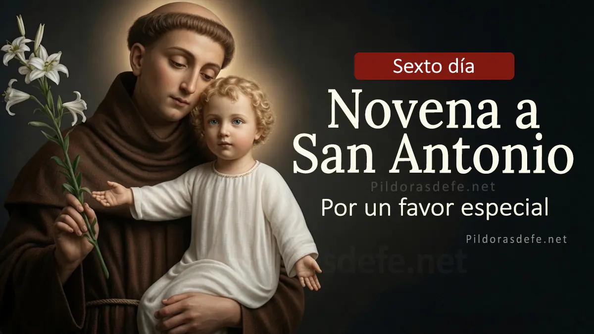 Novena a San Antonio de Padua santo de todo el mundo dia webp