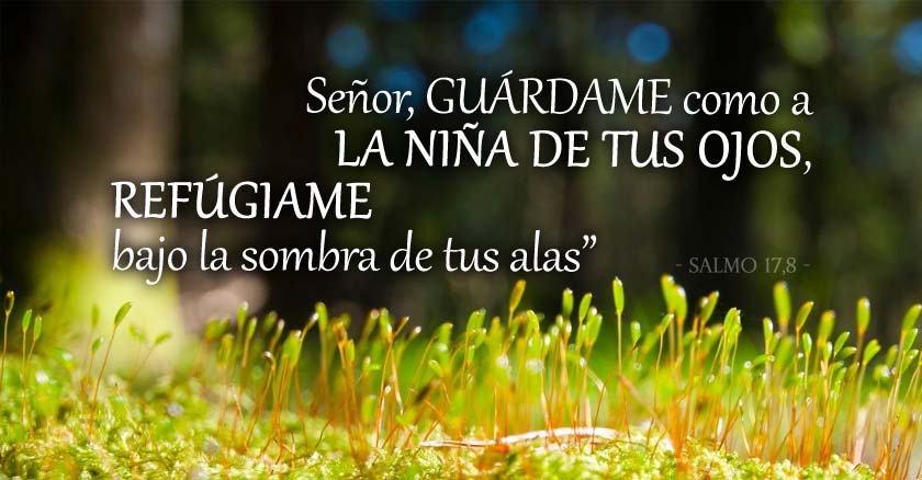 cita biblica salmo dios guardame como a la nina de tus ojos