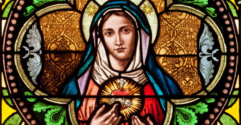 inmaculado corazon de maria vitral