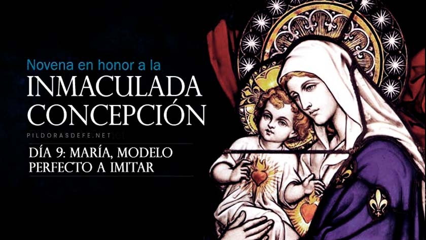 novena a la inmaculada concepcion de la santa virgen maria dia 