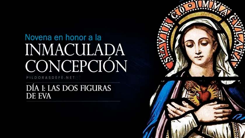 novena a la inmaculada concepcion de la virgen maria dia 