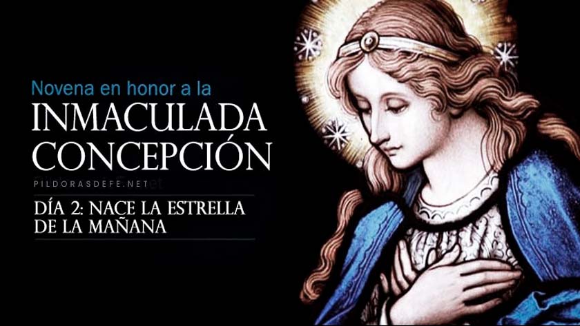 novena a la inmaculada concepcion de la virgen maria dia 