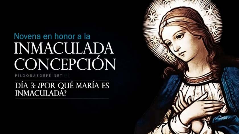 novena a la inmaculada concepcion de la virgen maria dia 