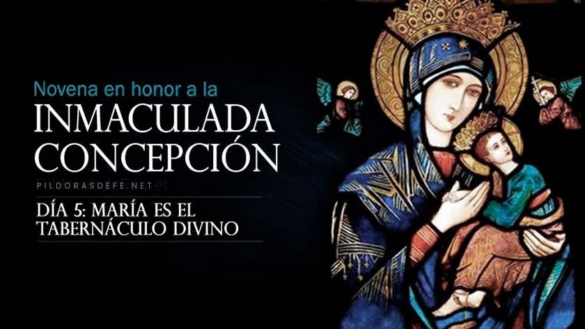 novena a la inmaculada concepcion de la virgen maria dia 