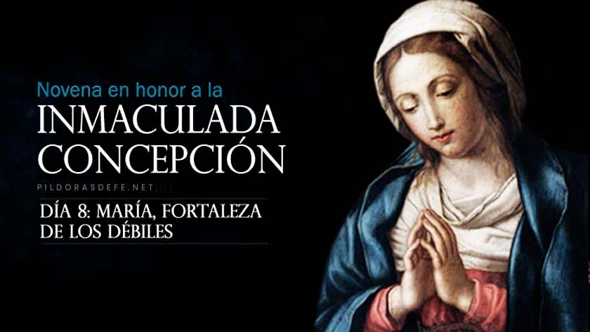 novena a la inmaculada concepcion de la virgen maria dia 