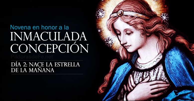 novena a la inmaculada concepcion de maria dia  nace la estrella de la manana