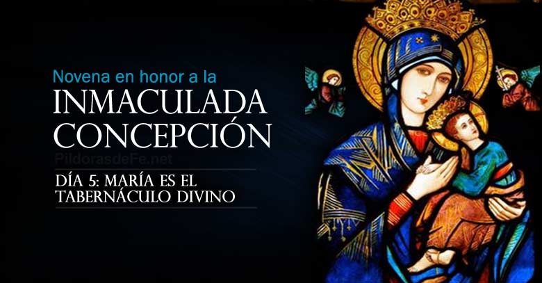novena a la inmaculada concepcion de maria dia es tabernaculo divino