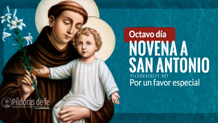 novena a san antonio de padua octavo dia favor especial