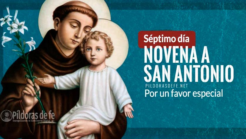 novena a san antonio de padua septimo dia favor especial