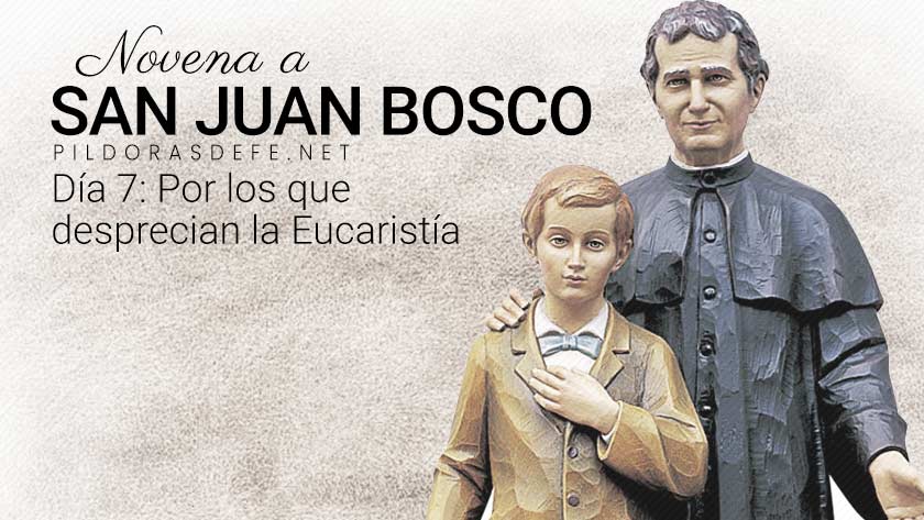 novena a san juan bosco dia  don bosco desprecian eucaristia