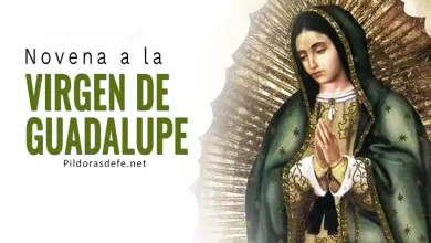 Novena Virgen de Guadalupe Emperatriz de las Americas