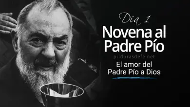 Novena al Padre Pio Pietrelcina dia 