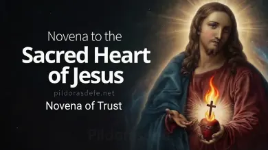 Novena to the Sacred Heart of Jesus trust
