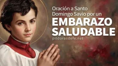 Santo Domingo Savio Oracion Embarazo saludable