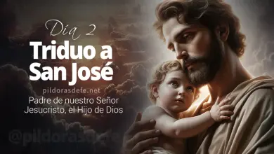 Segundo día del Triduo en honor a San José: Padre de nuestro Señor