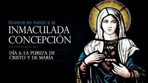 novena a la inmaculada concepcion de la virgen maria dia 