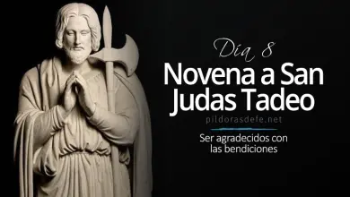 Octavo día de la Novena a San Judas Tadeo: Agradecer las bendiciones novena a san judas tadeo dia  casos desesperados ser agradecidos con las bendiciones