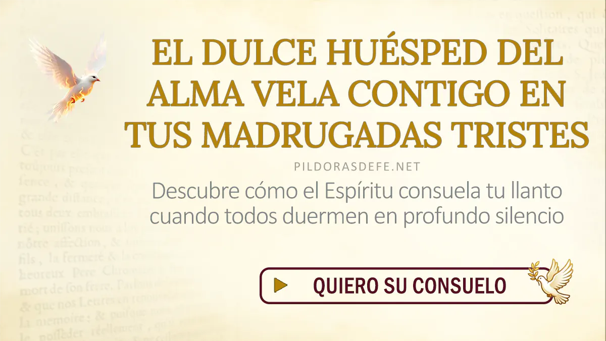 Oracion Espiritu Santo dia domingo webp