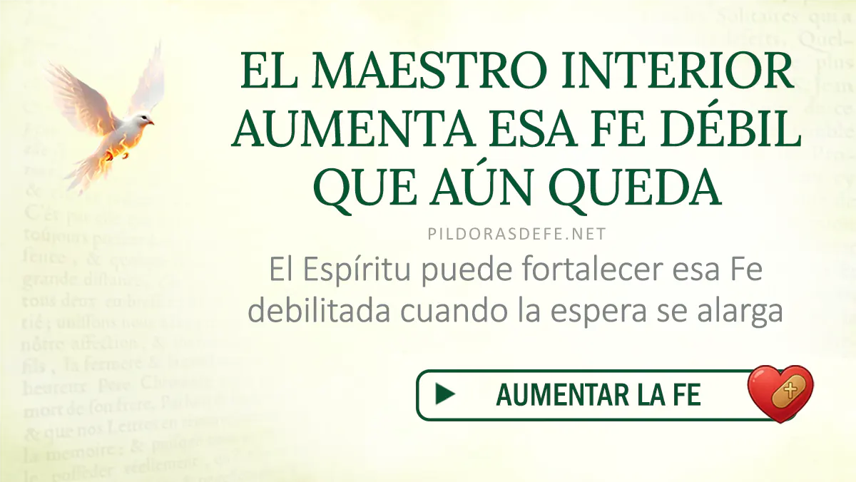 Oracion Espiritu Santo dia lunes webp