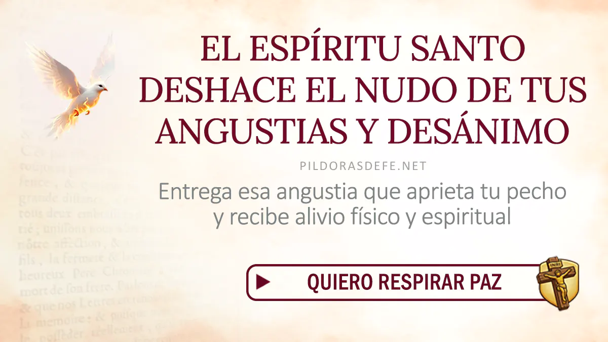 Oracion Espiritu Santo dia viernes webp