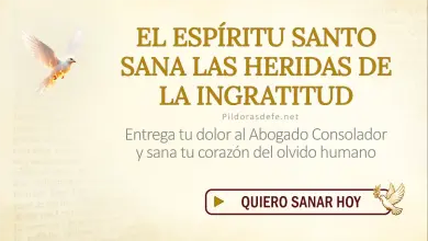 Oración del día al Espíritu Santo: Domingo 2 de agosto 2026 - Sanar el Olvido