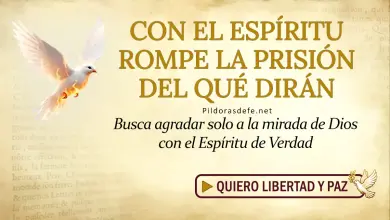 Oración del día al Espíritu Santo: Domingo 7 de junio 2026 - Libertad del Qué Dirán