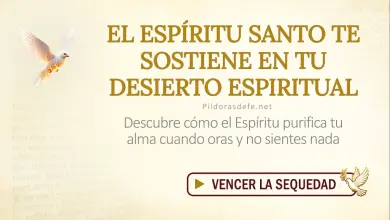 Oración del día al Espíritu Santo: Domingo 9 de agosto 2026 - Sequedad Espiritual