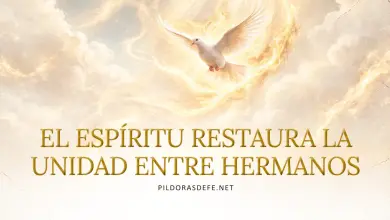 Oración al Espíritu Santo: Domingo 11 de octubre 2026 - Unidad entre hermanos