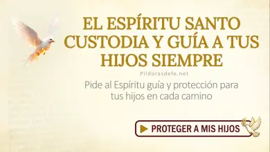 Oración del día al Espíritu Santo: Domingo 12 de julio de 2026 - Protección de hijos