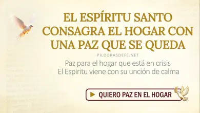Oración al Espíritu Santo: Domingo 13 de septiembre de 2026 - Paz para el hogar en crisis