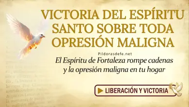 Oración del día al Espíritu Santo: Domingo 14 de junio 2026 - Libérate de la Opresión
