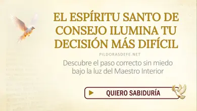 Oración del día al Espíritu Santo: Domingo 23 de agosto 2026 - Decisión Difícil